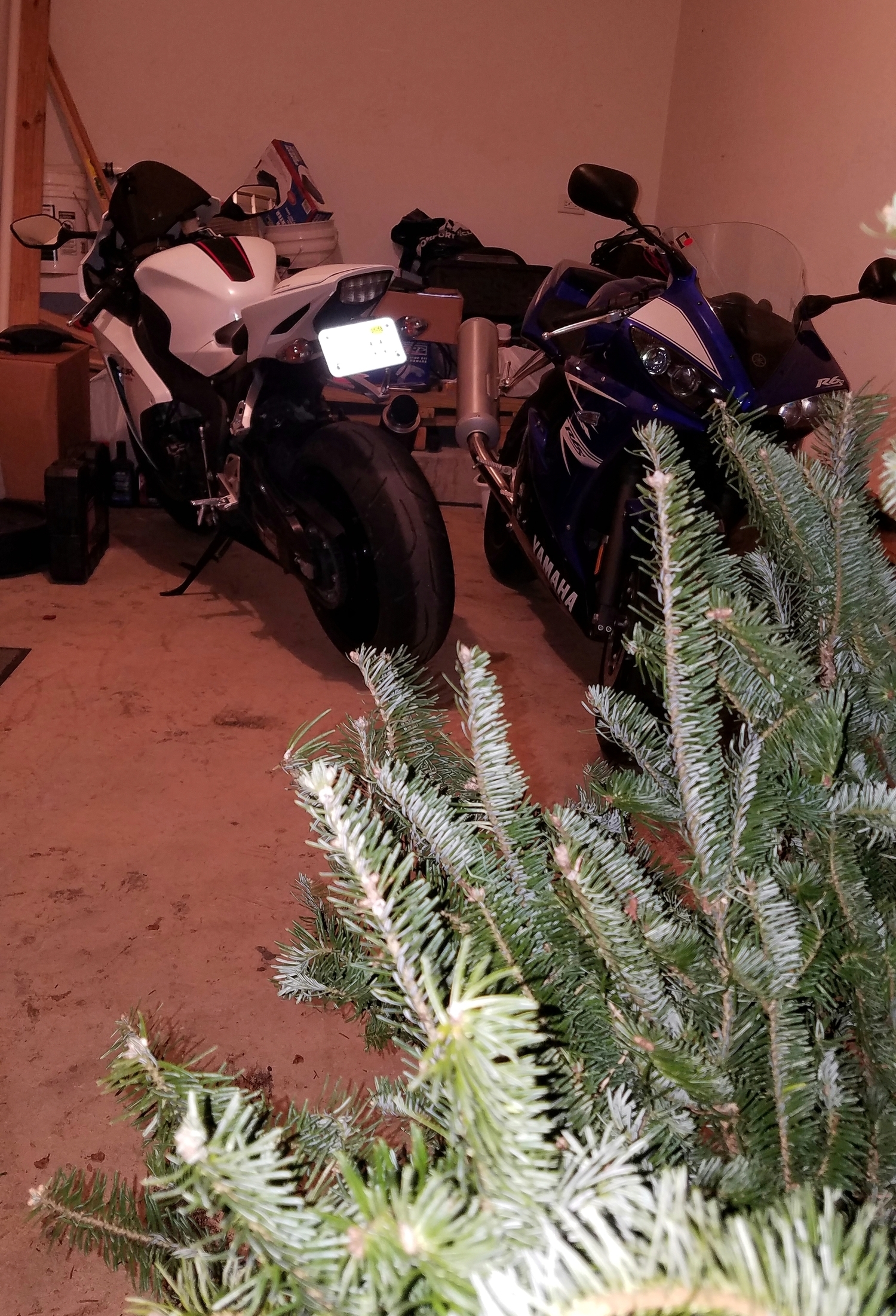 Photo 2805408