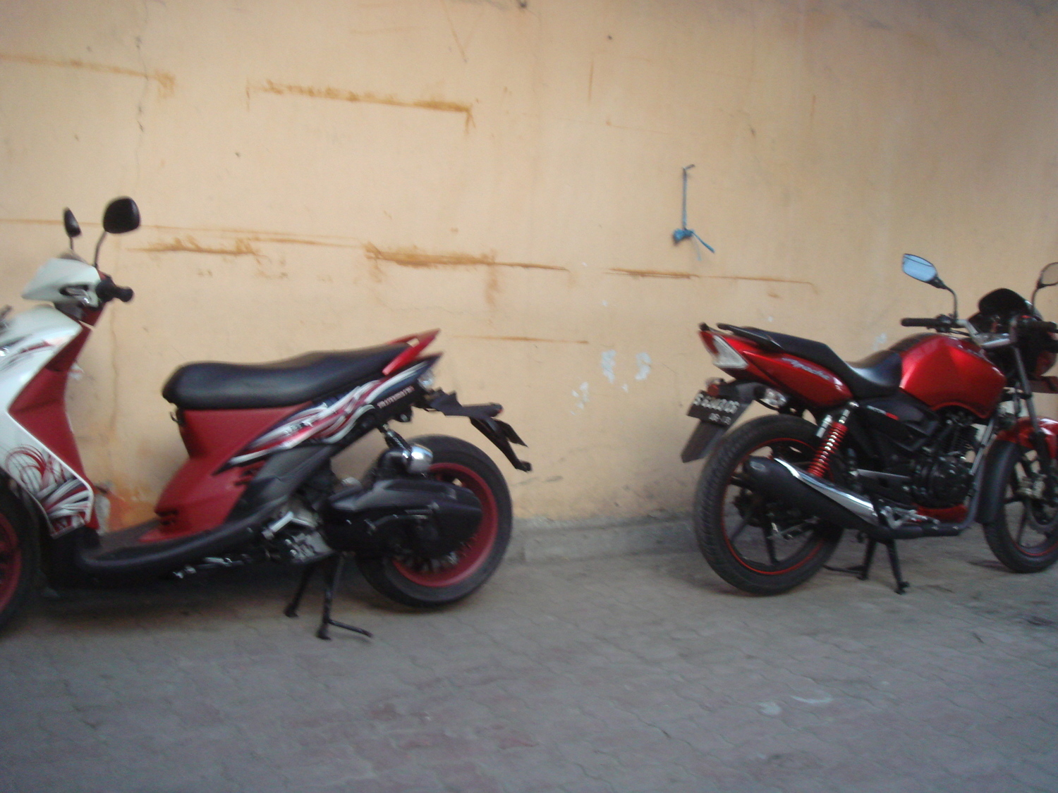 Photo 2805479