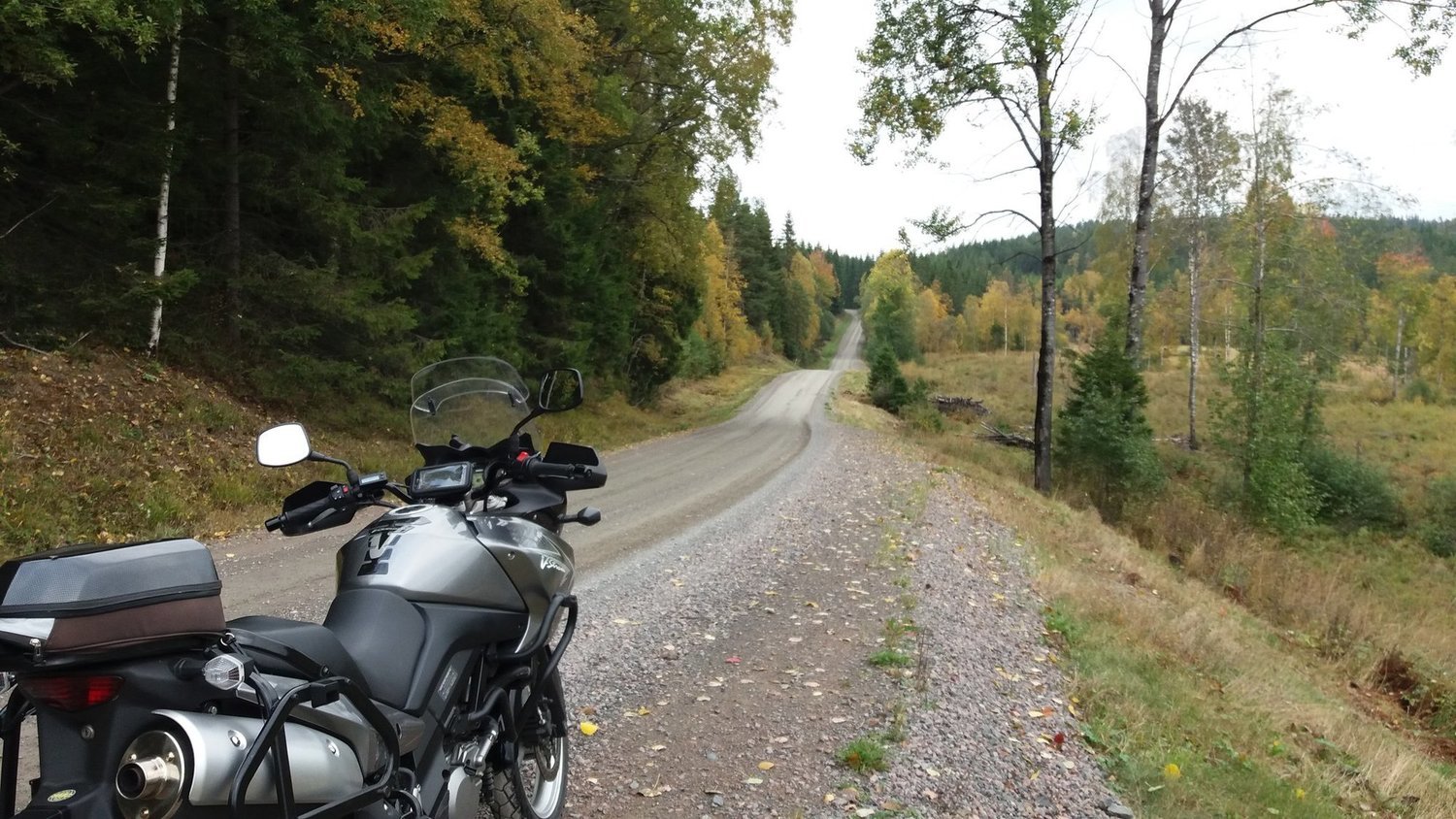 Photo 2805556