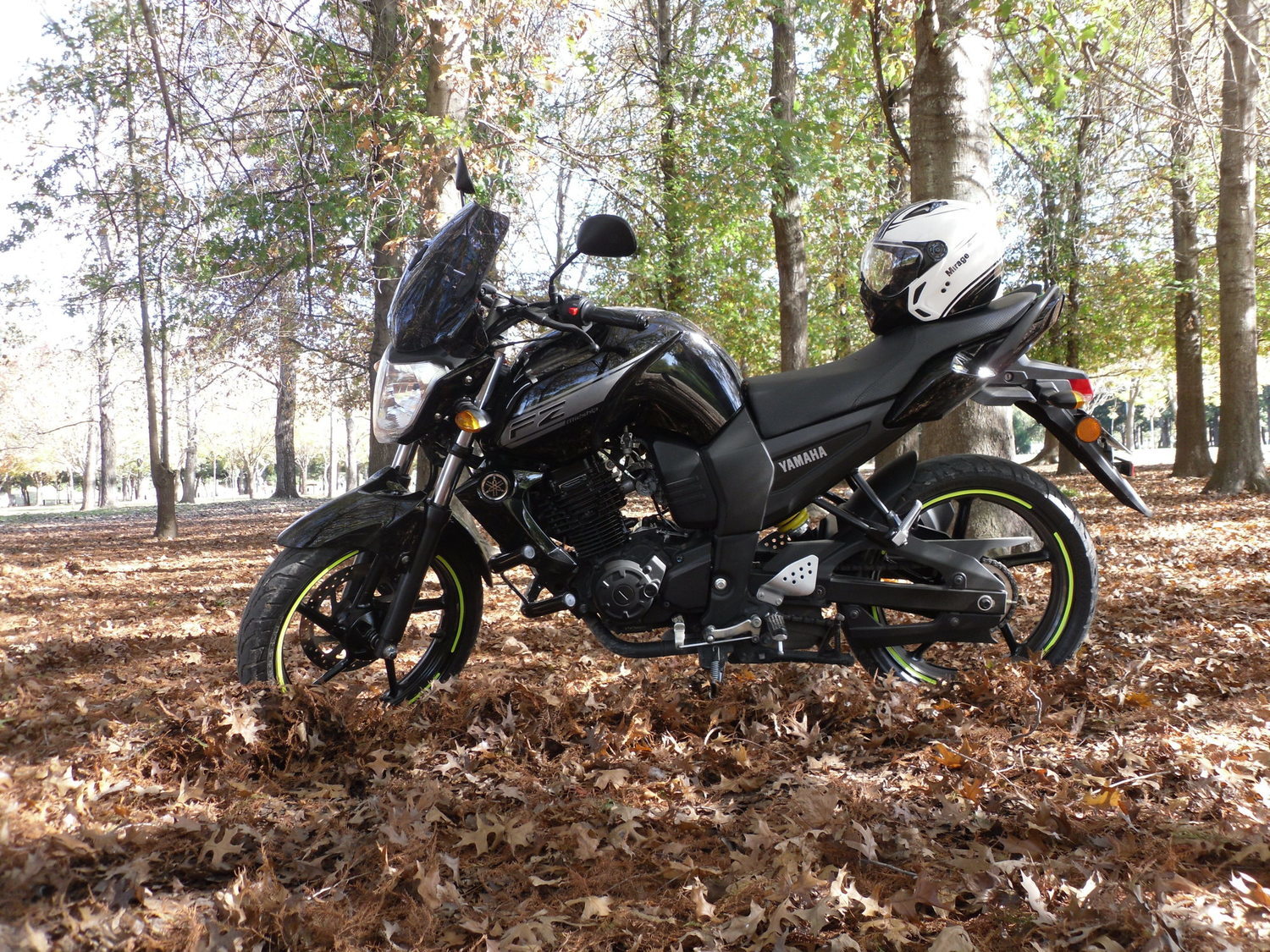 Fz16