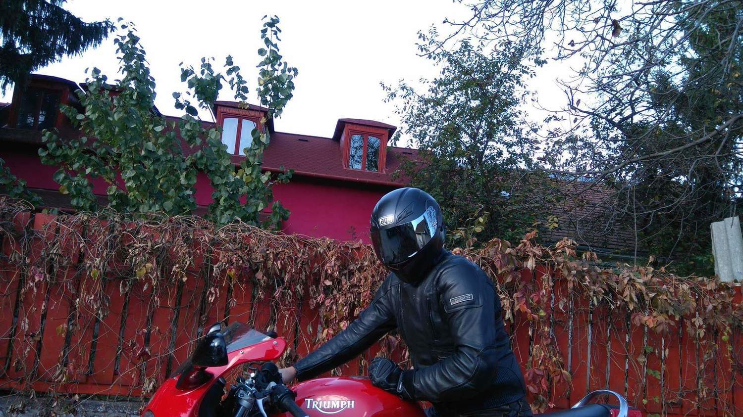 Photo 2805680