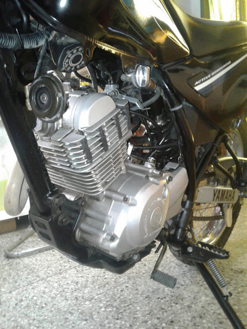Photo 2805742