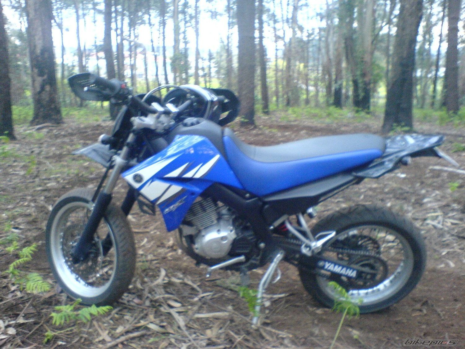 Photo 2805792