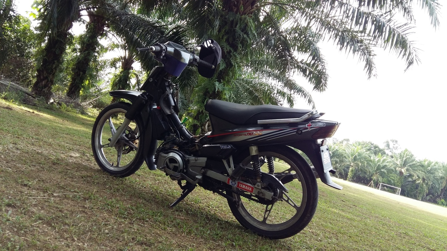 Photo 2805938