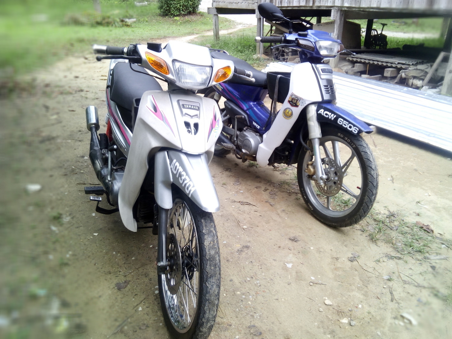 Photo 2805946