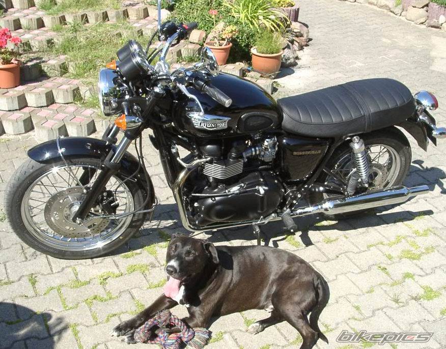 Bike Photo 280601