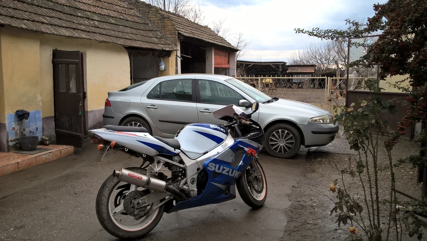 Photo 2806406