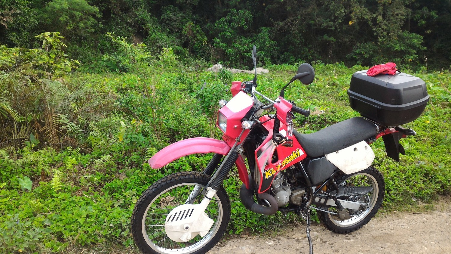 Photo 2806471