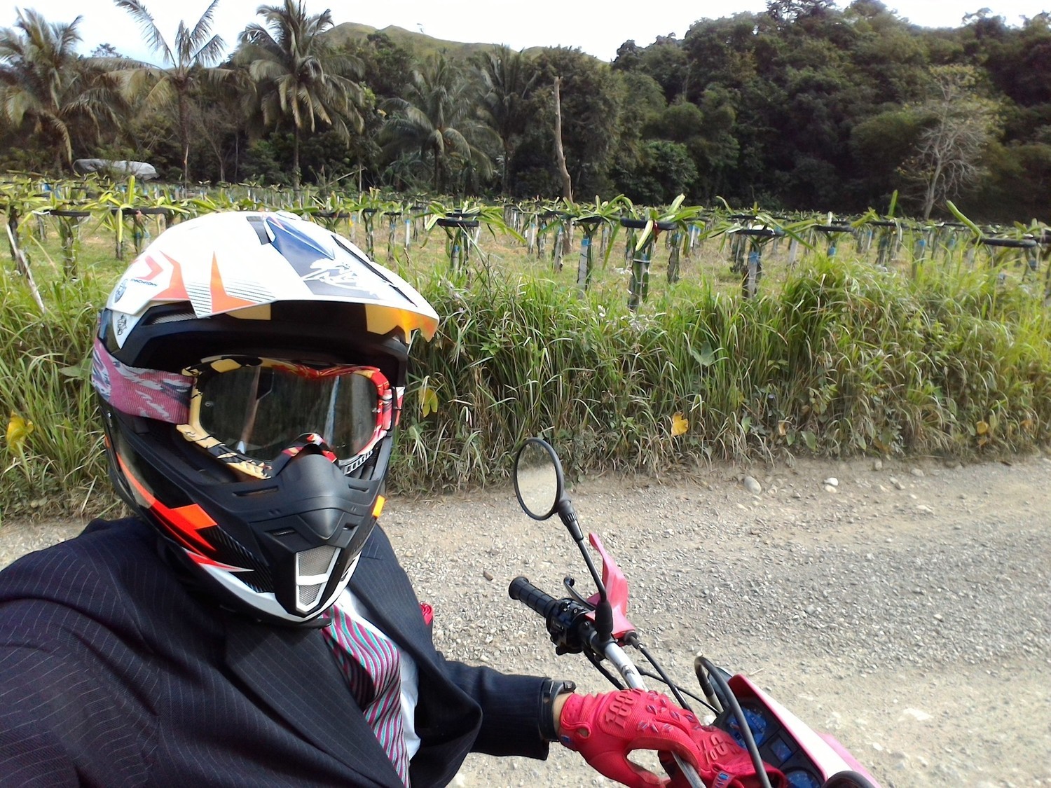 Photo 2806574
