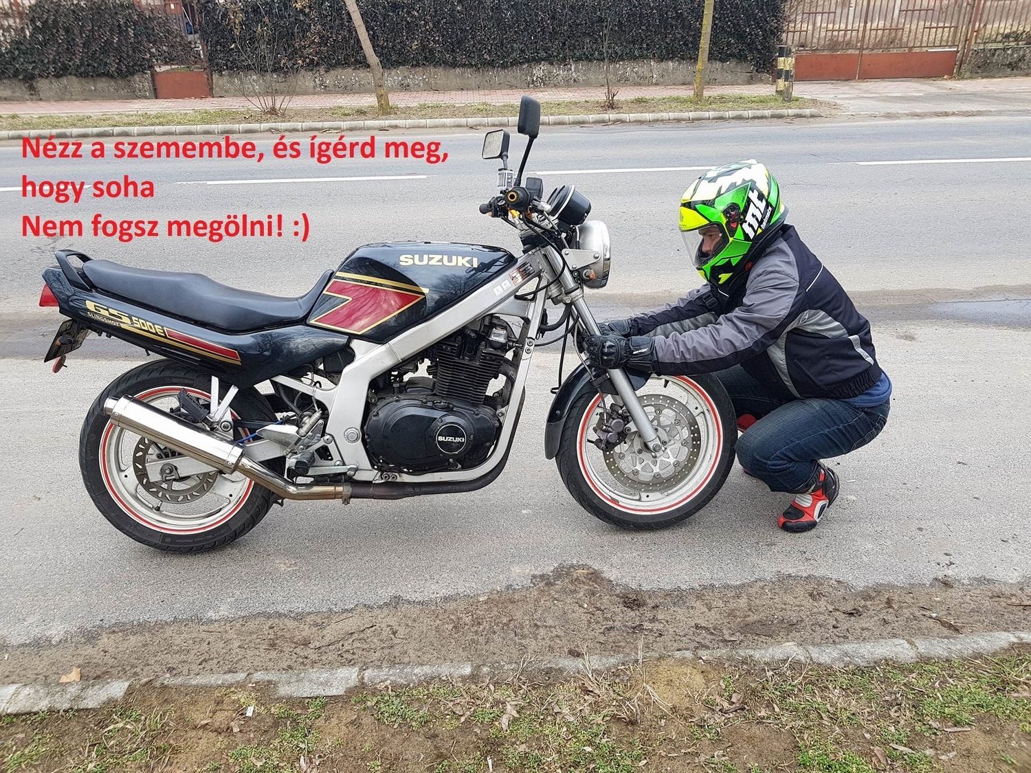 Photo 2806578