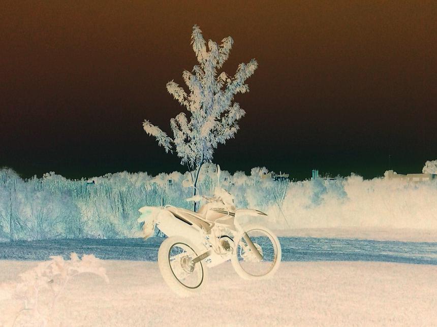 Photo 2806588