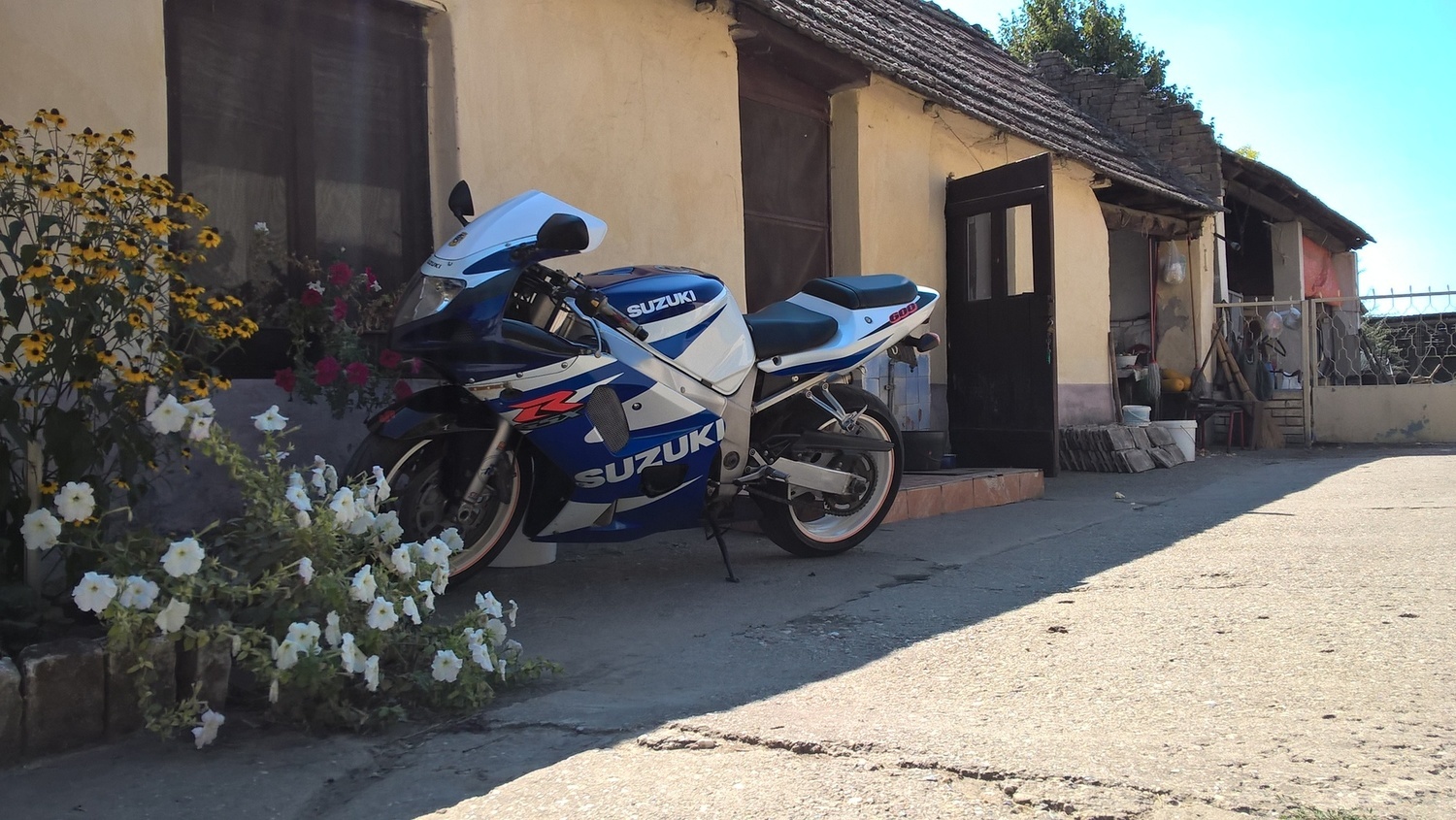 Photo 2806608