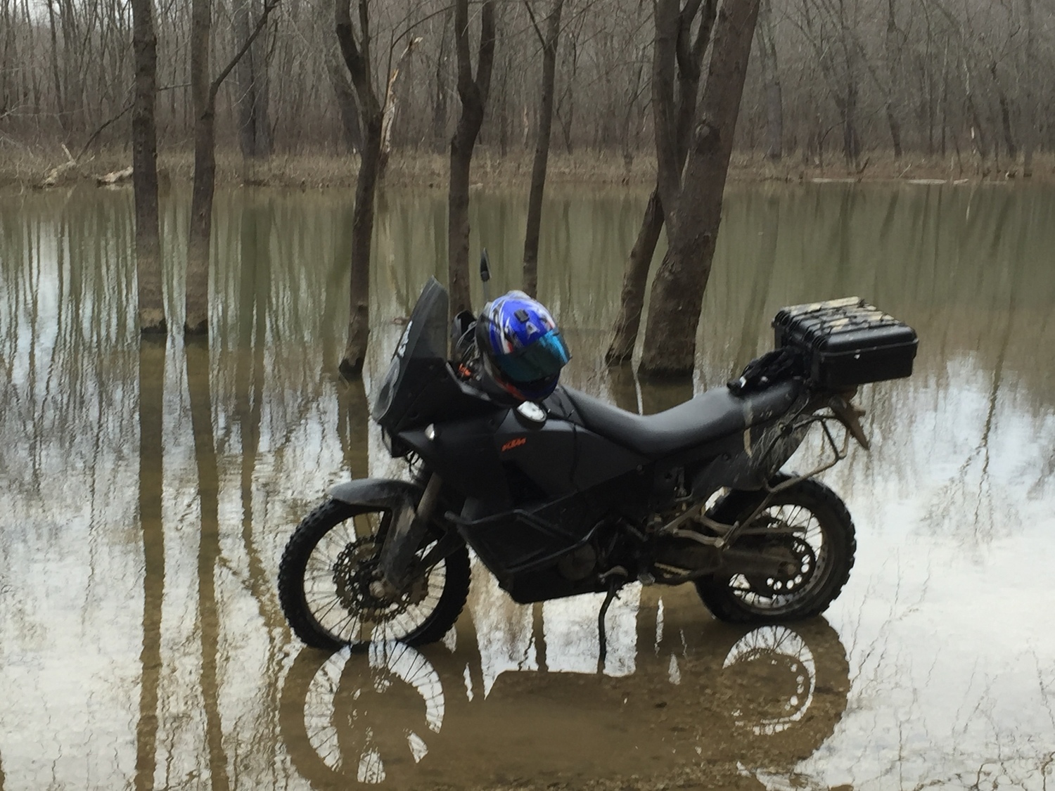 Photo 2806739