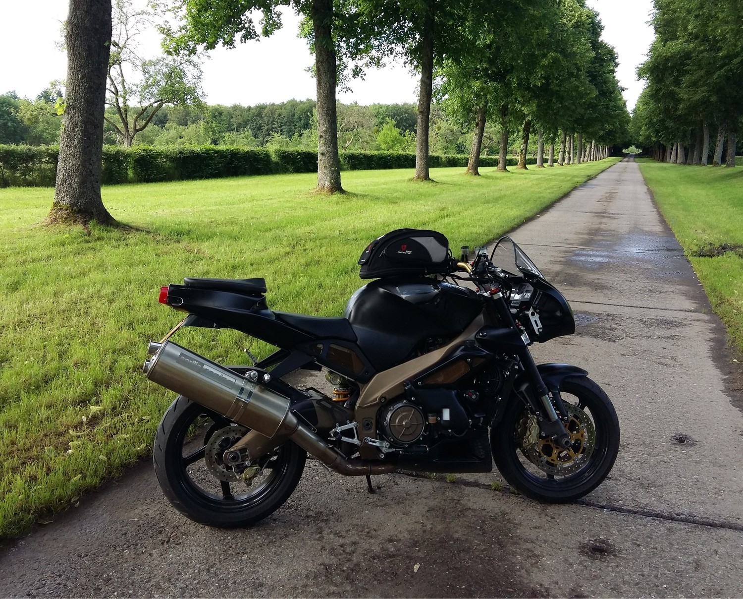 Photo 2806786