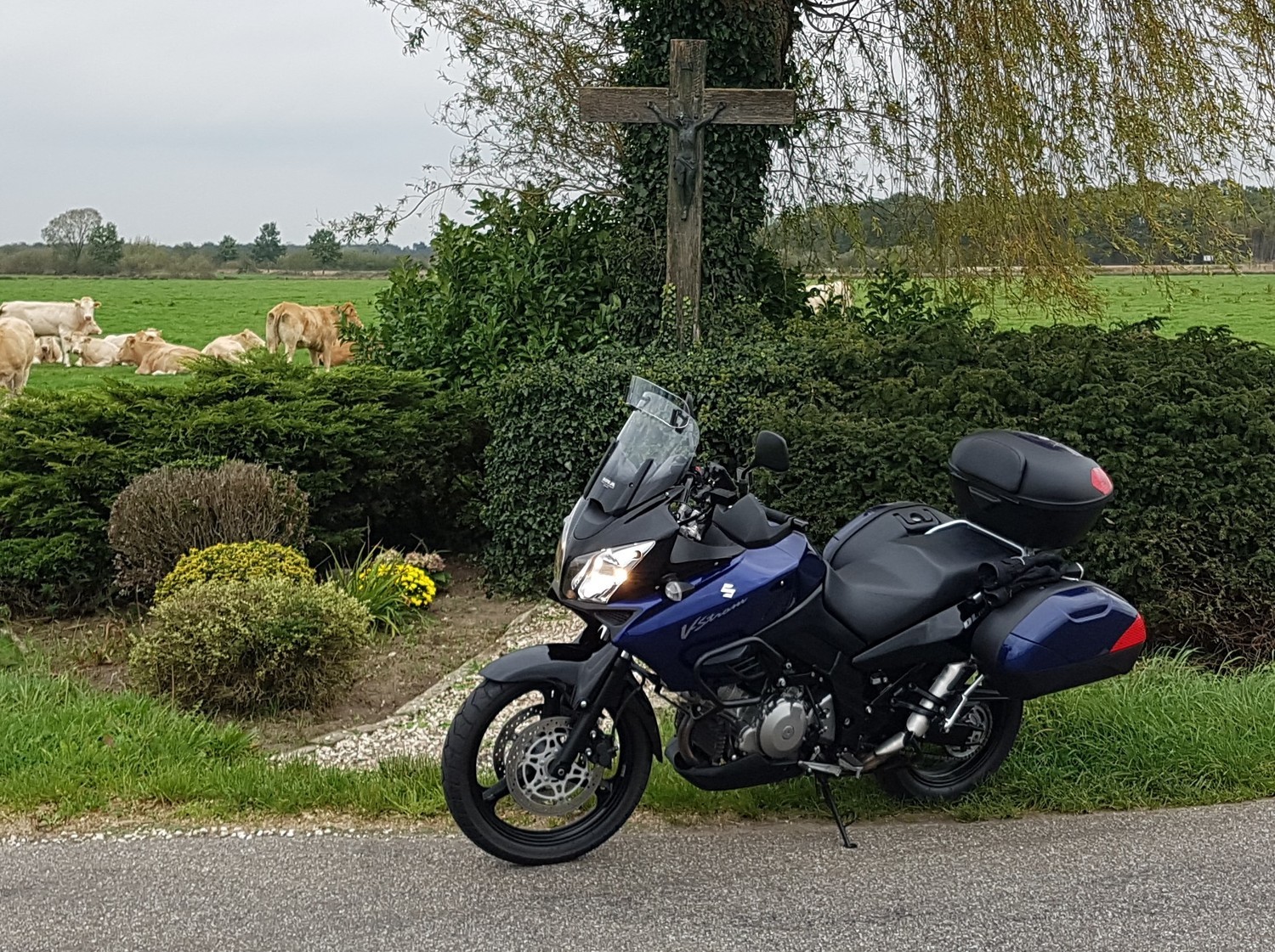 Photo 2806830