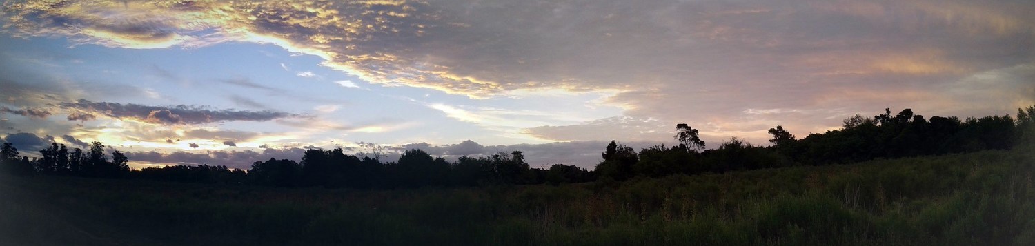 Photo 2806924