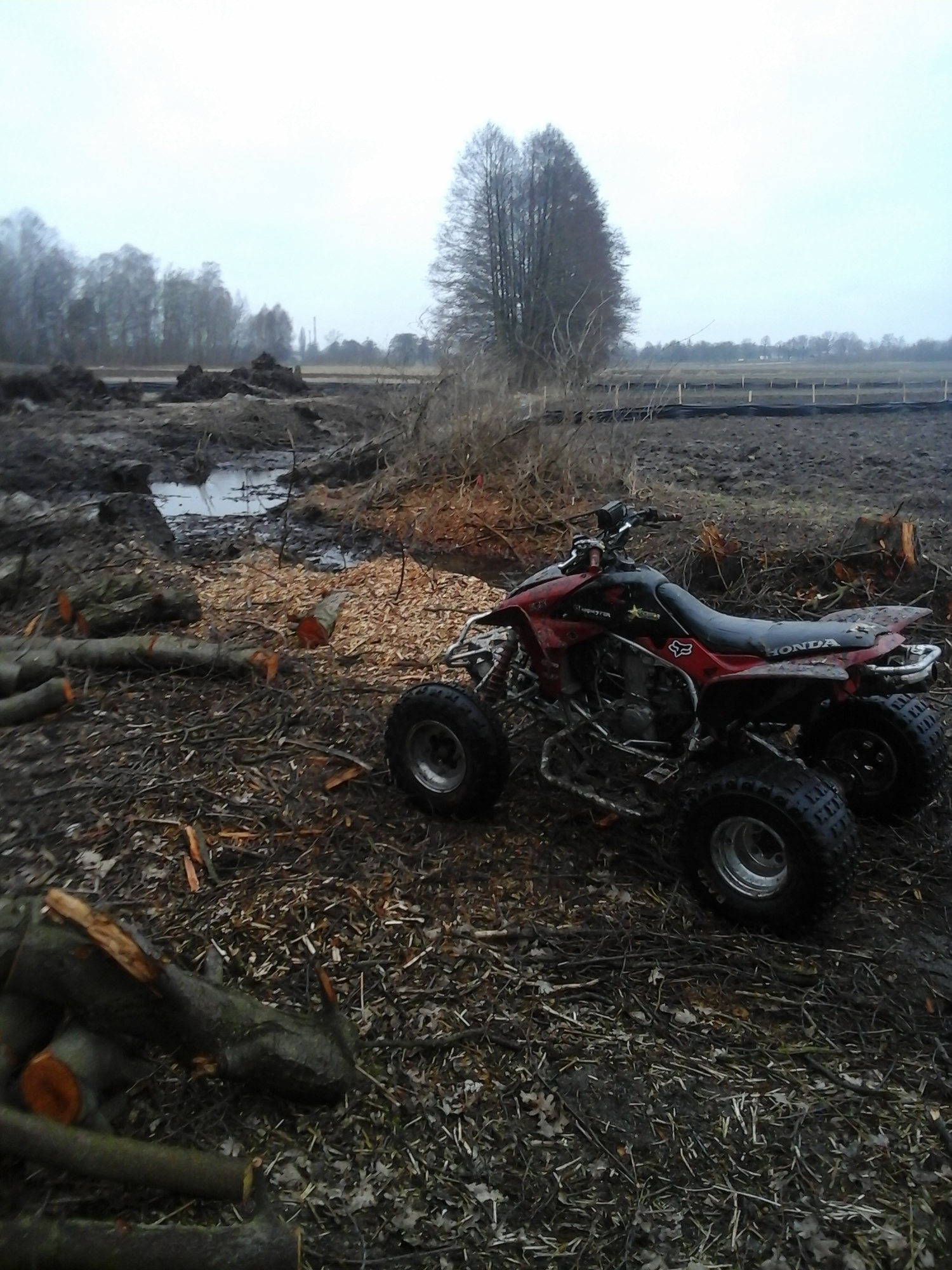 Photo 2806927