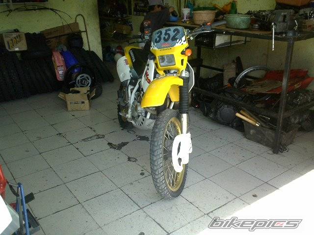 Photo 280698