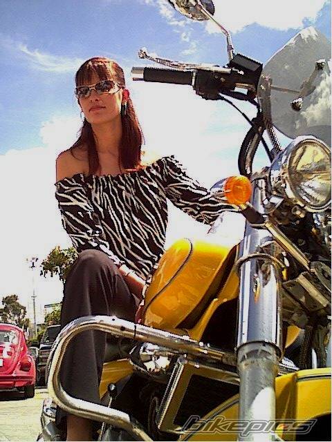 Photo 280701