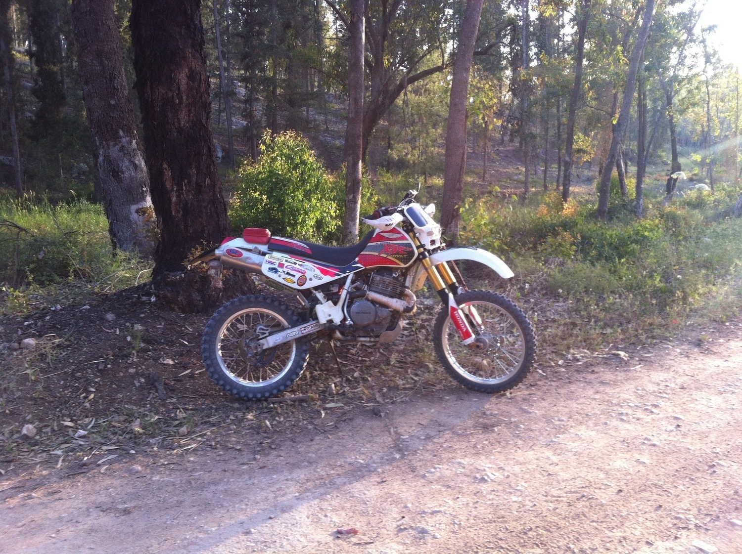 Photo 2807033