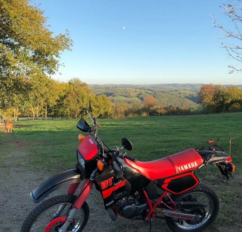 Photo 2807195
