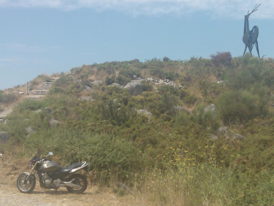 Photo 2807235