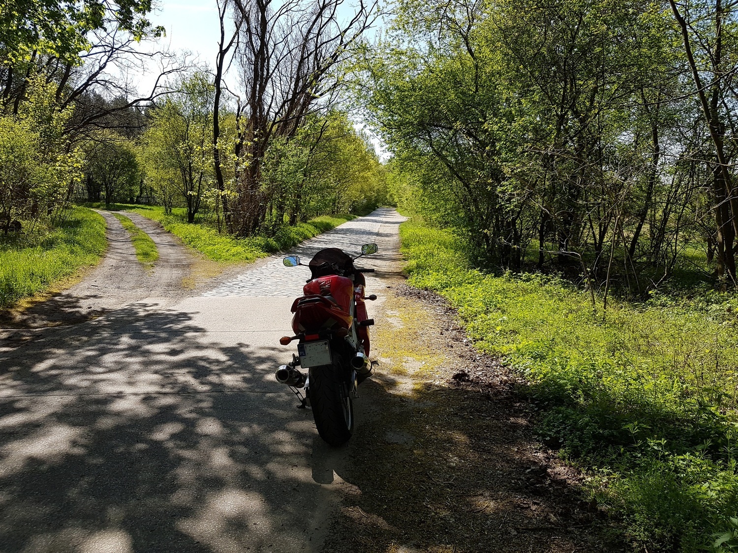 Photo 2807276