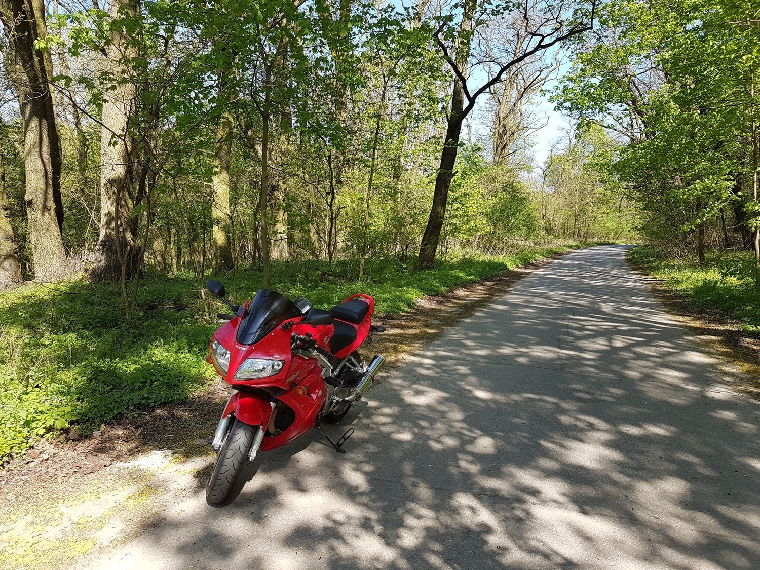 Photo 2807278