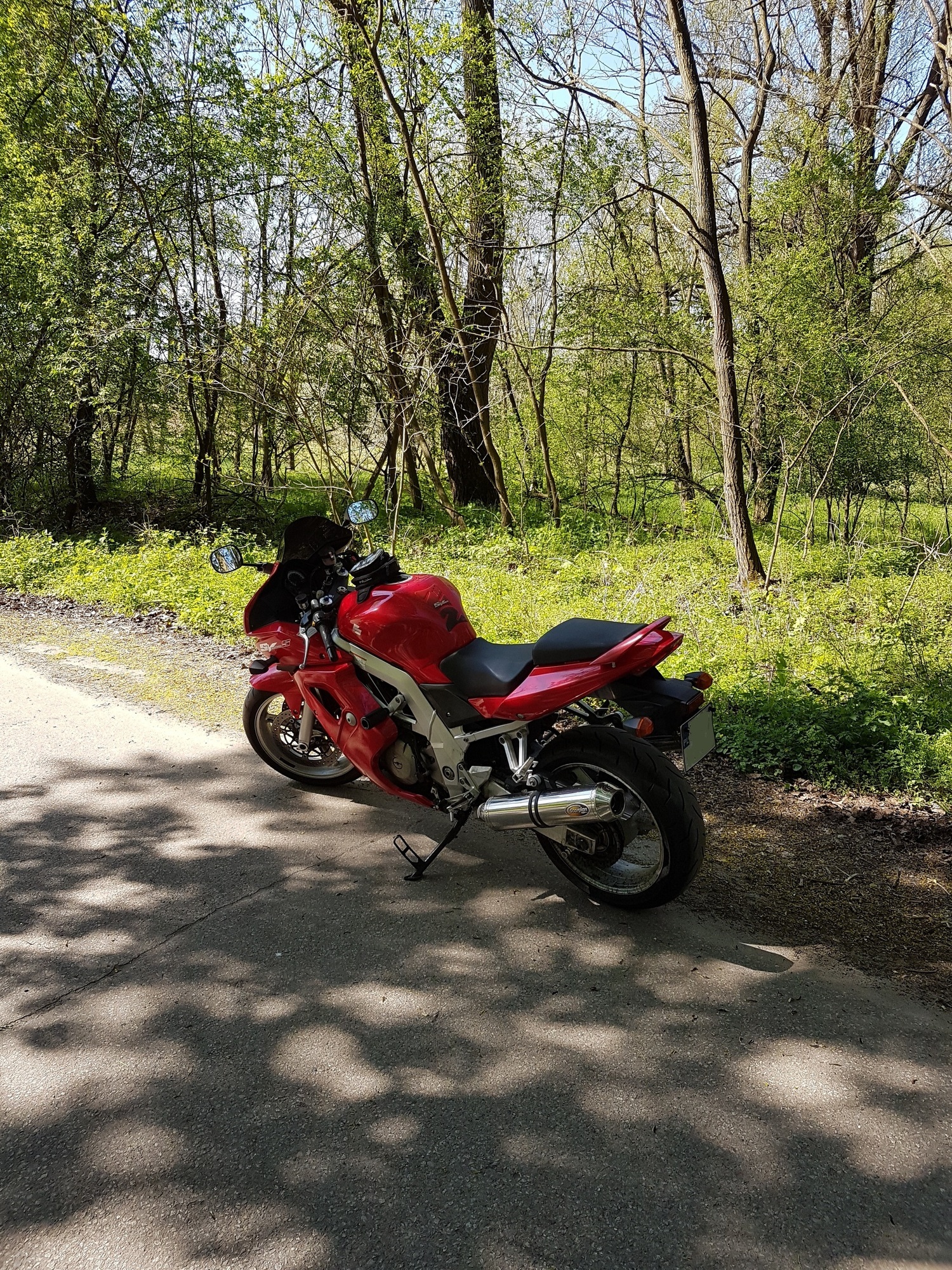 Photo 2807280