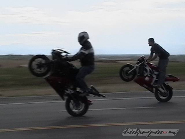 Photo 280745