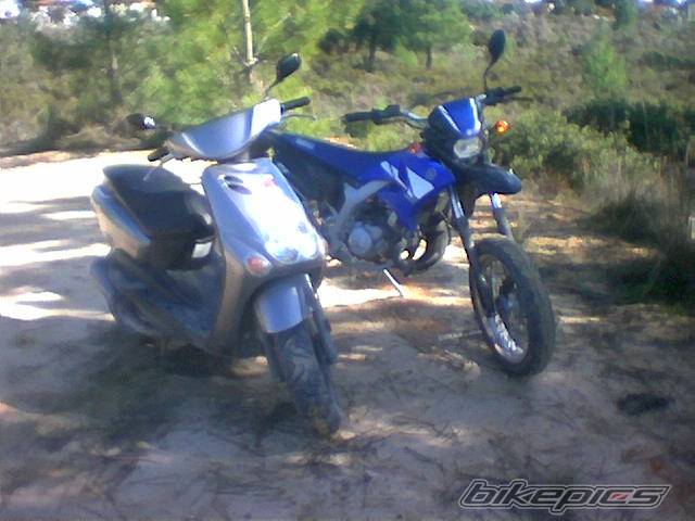 Photo 280746