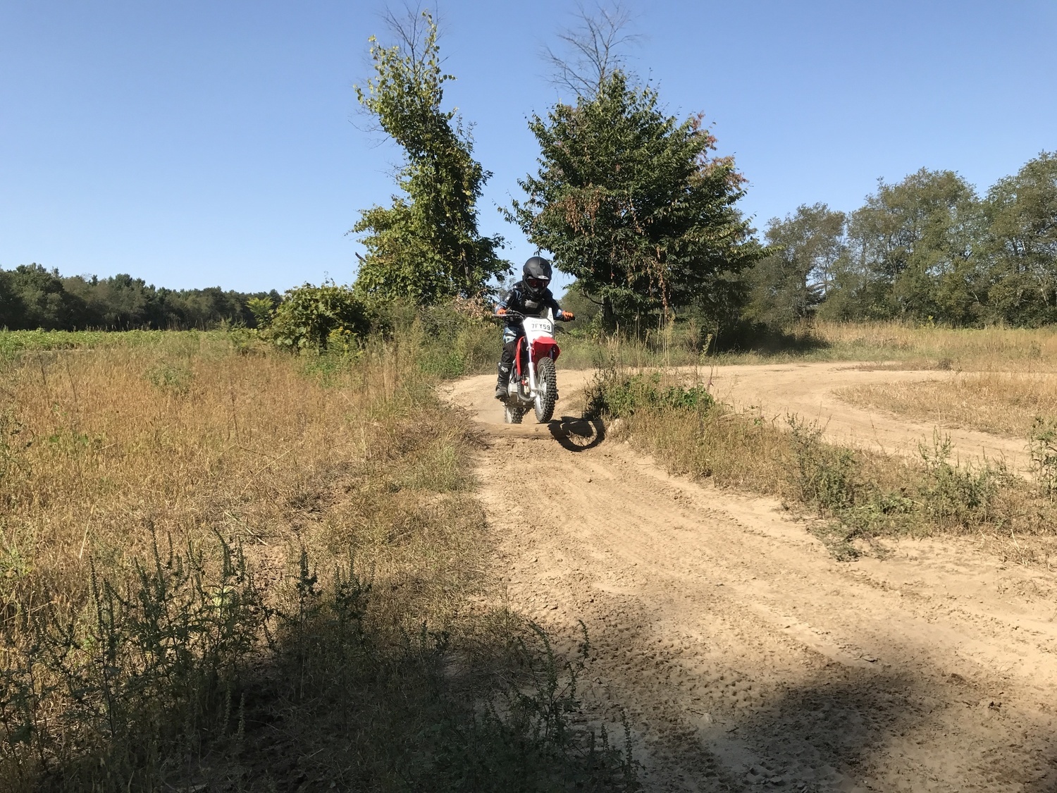 Photo 2807465