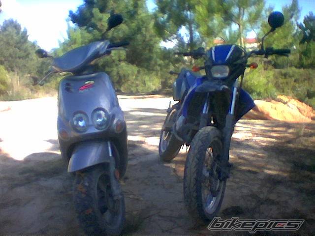 Photo 280752