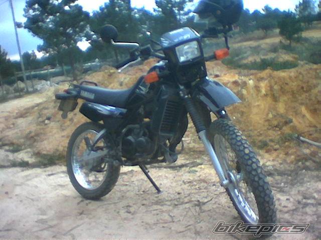 Photo 280754