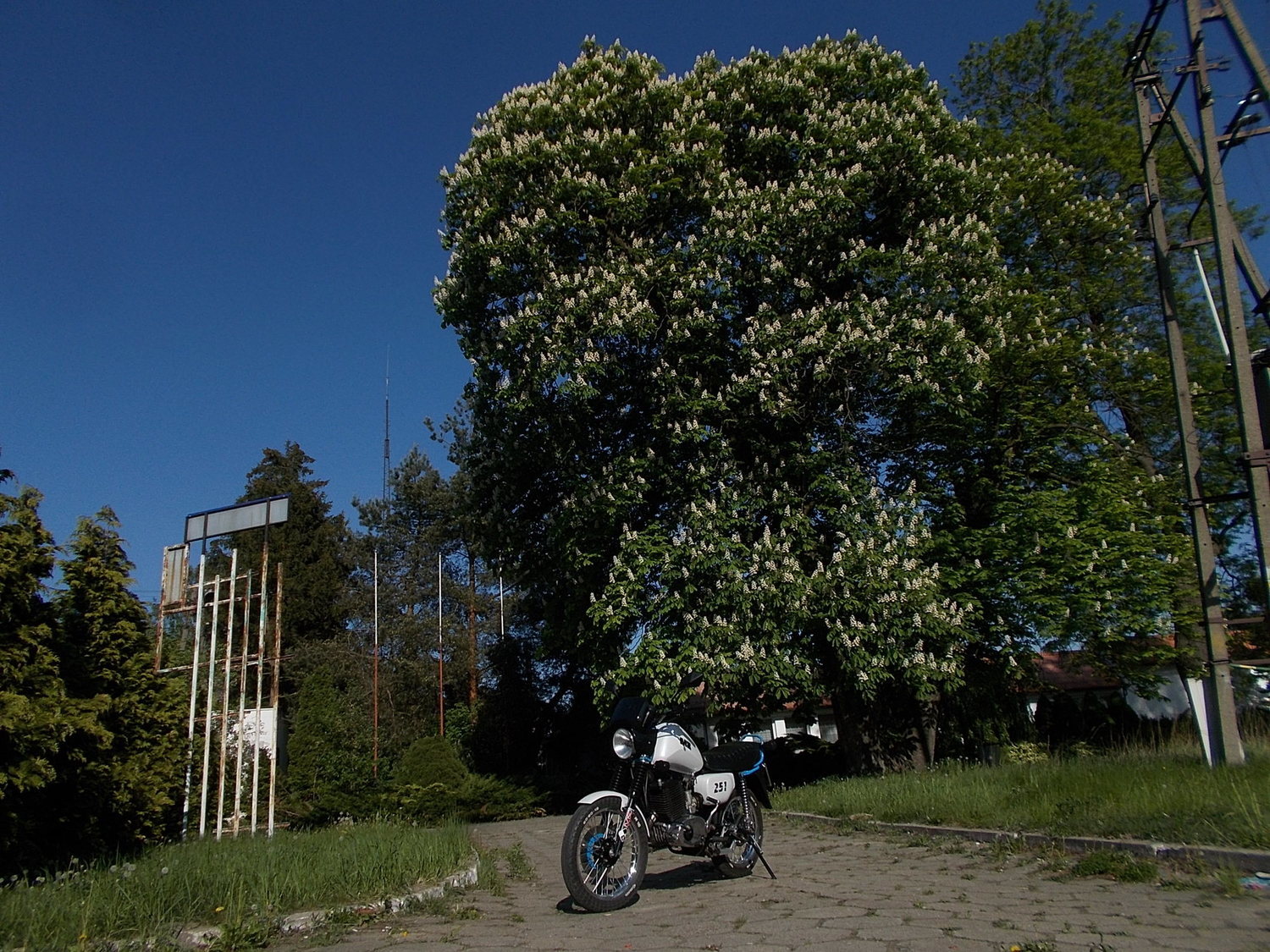 Photo 2807570