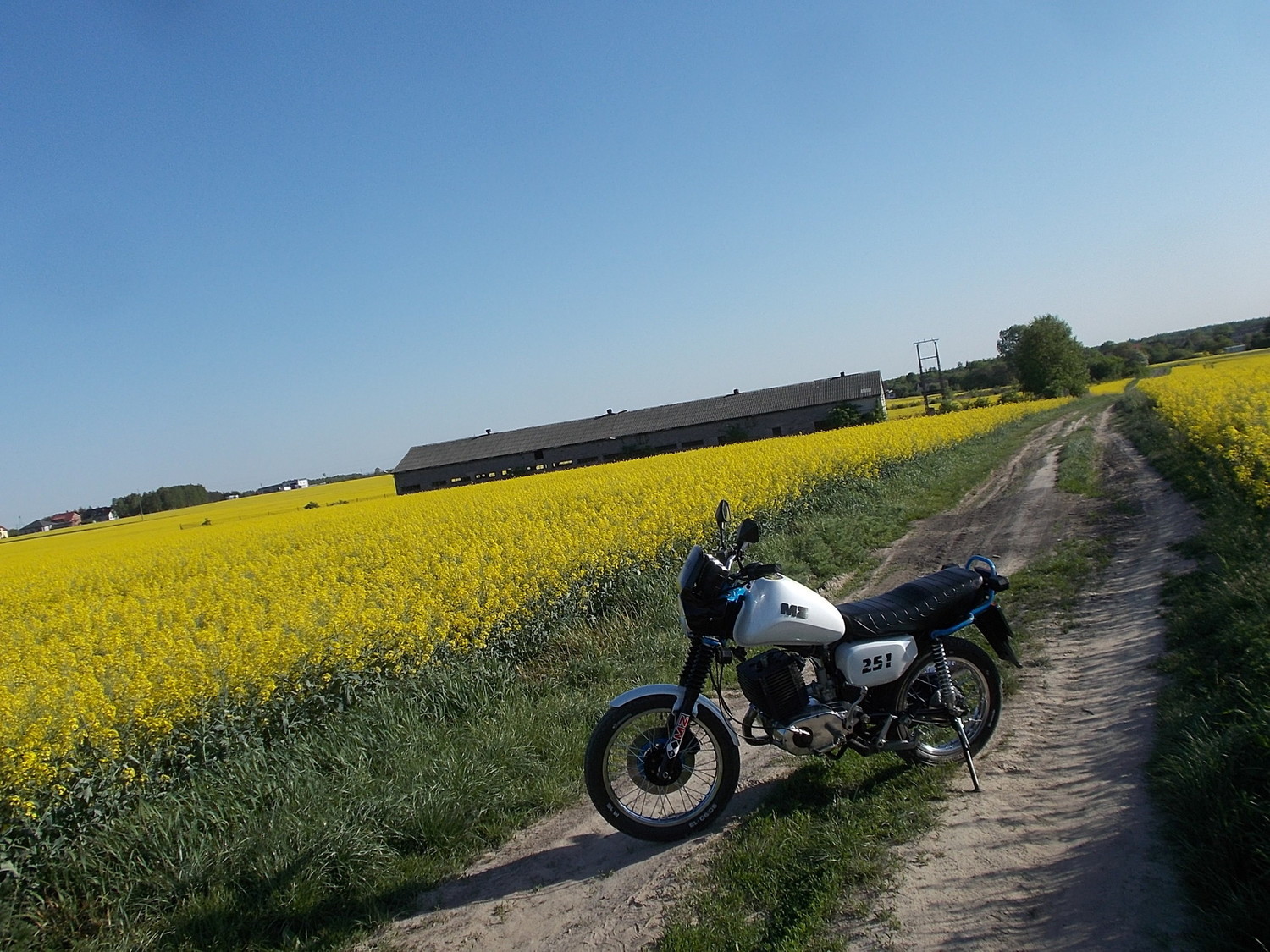 Photo 2807579