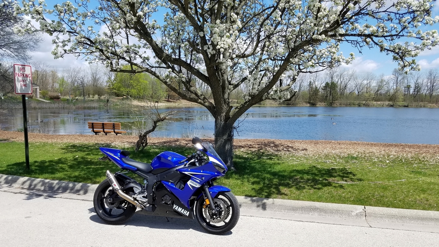 Photo 2807596