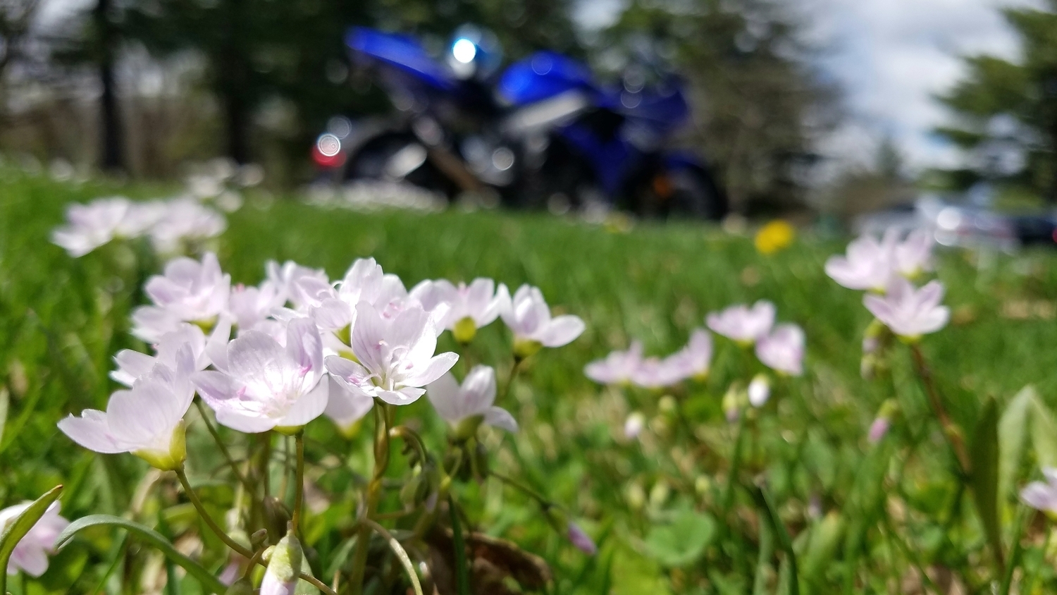 Photo 2807600