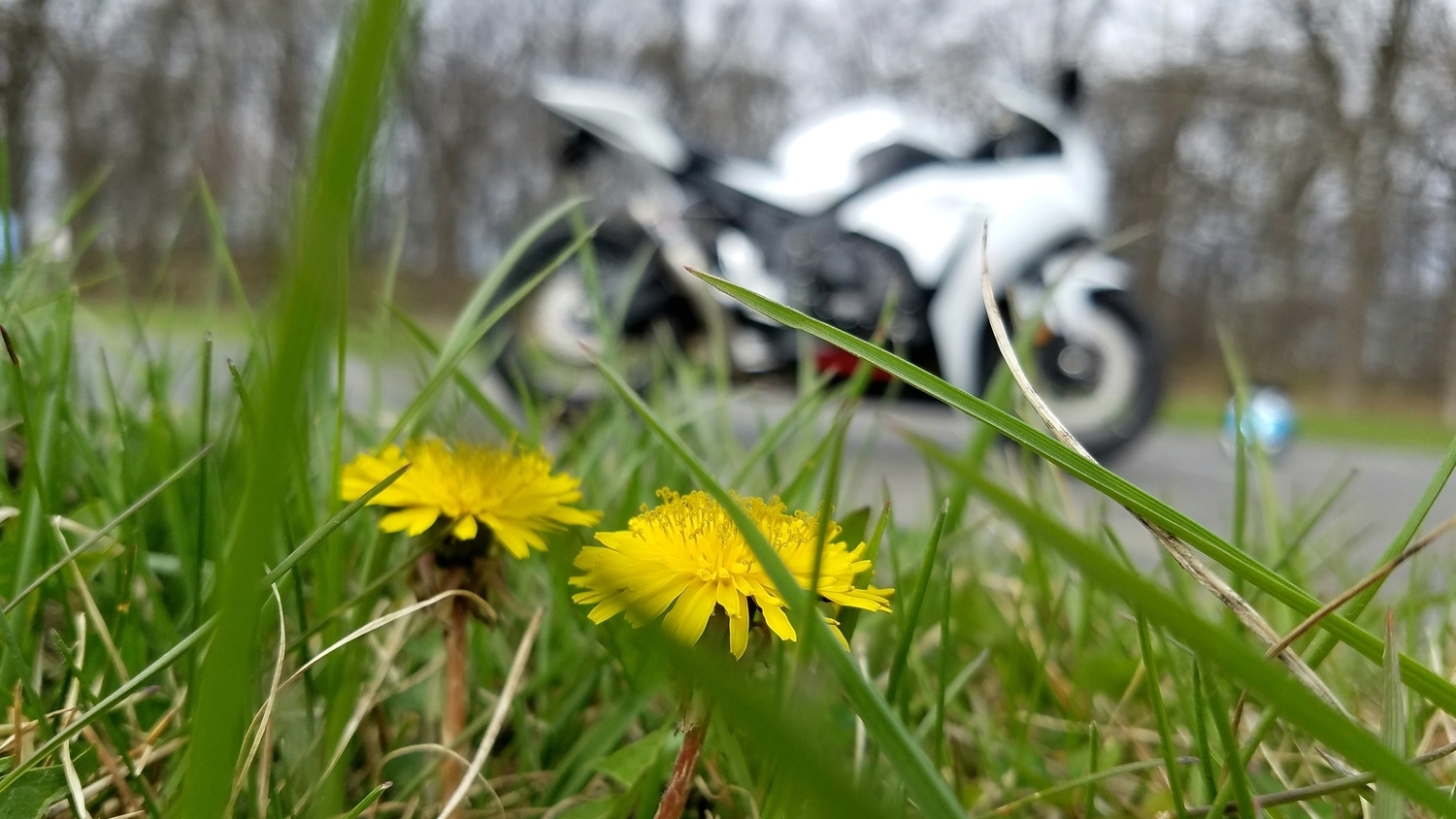 Photo 2807614