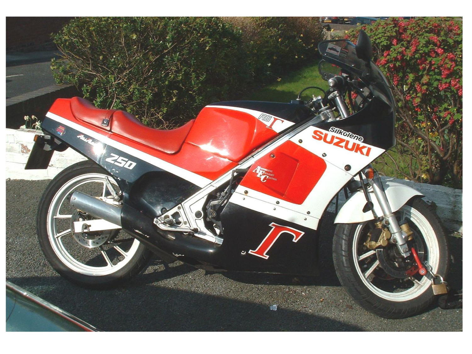 RG 250