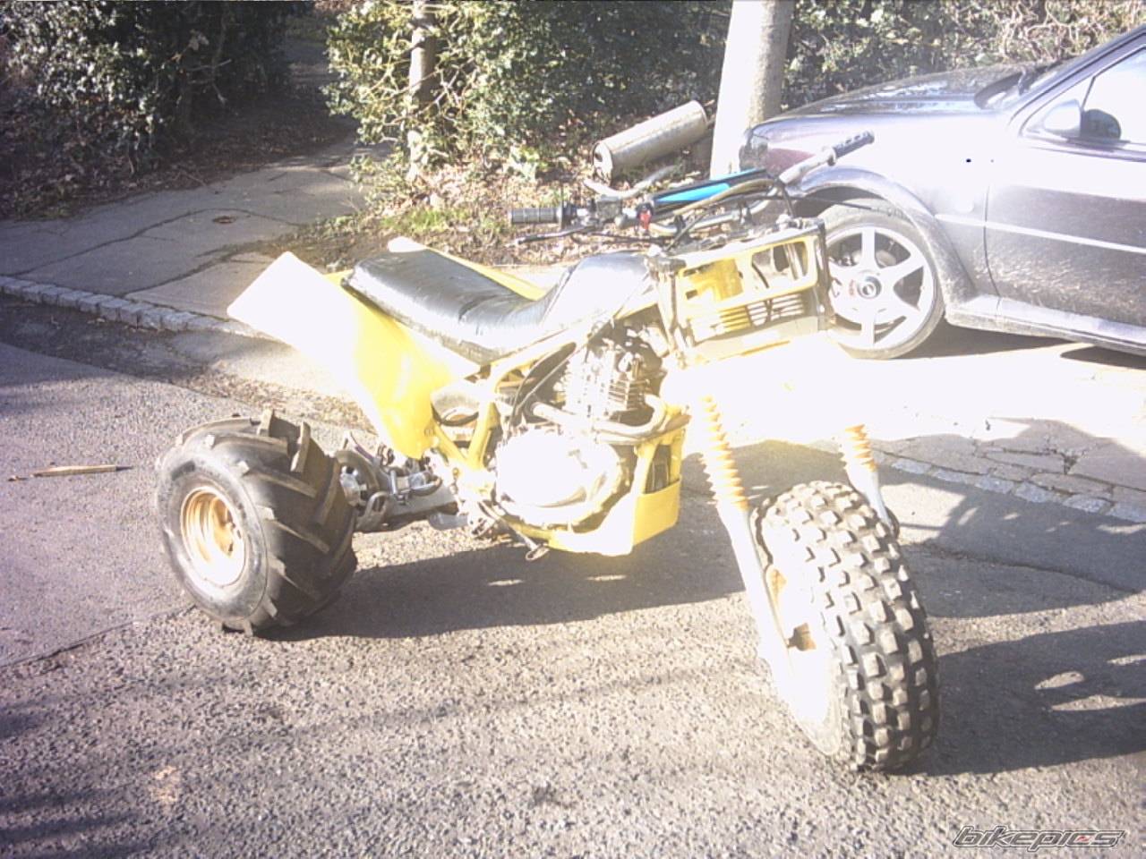 Photo 280768