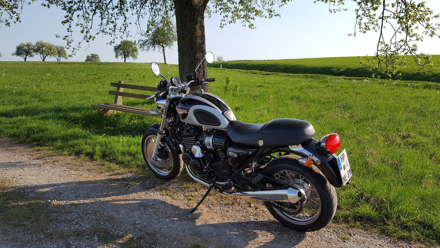 Photo 2807722