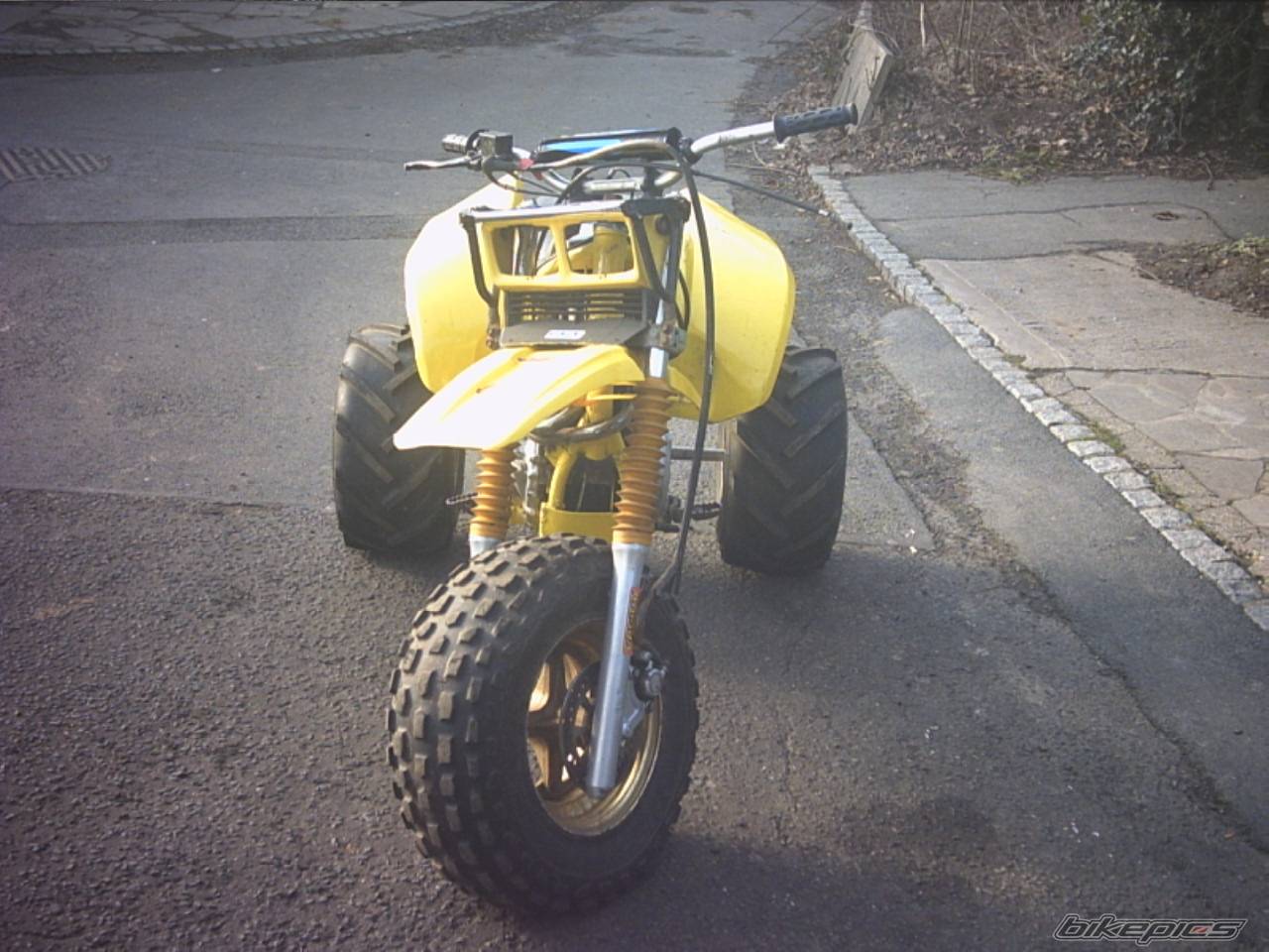 Photo 280773