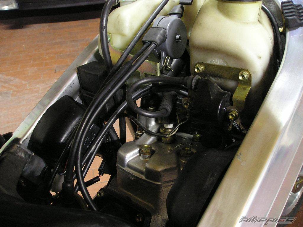 Photo 280781