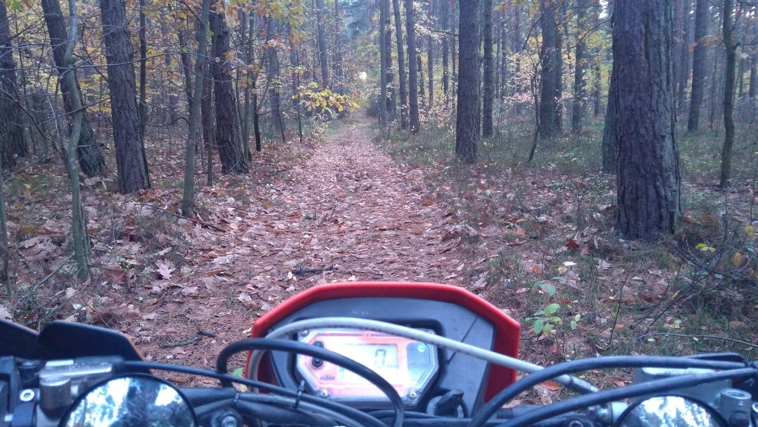 Photo 2807923