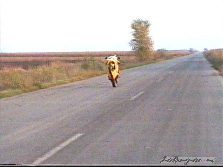 Photo 280794