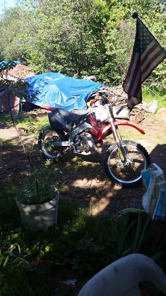 Photo 2808214