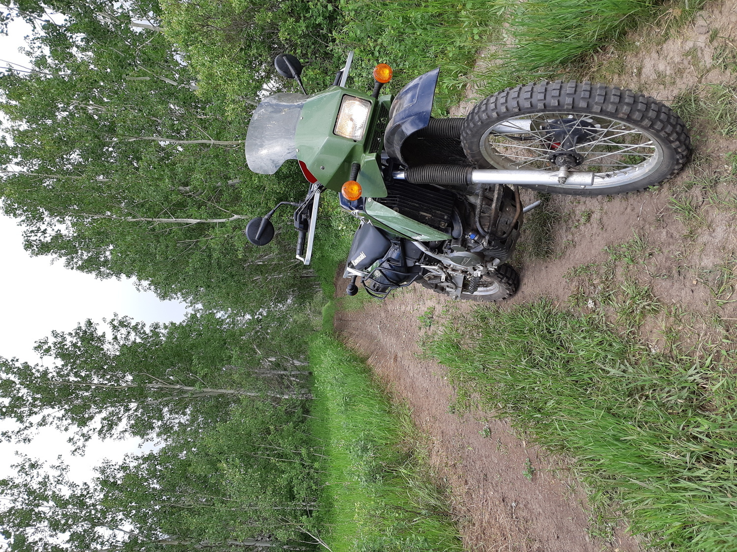 Photo 2808248