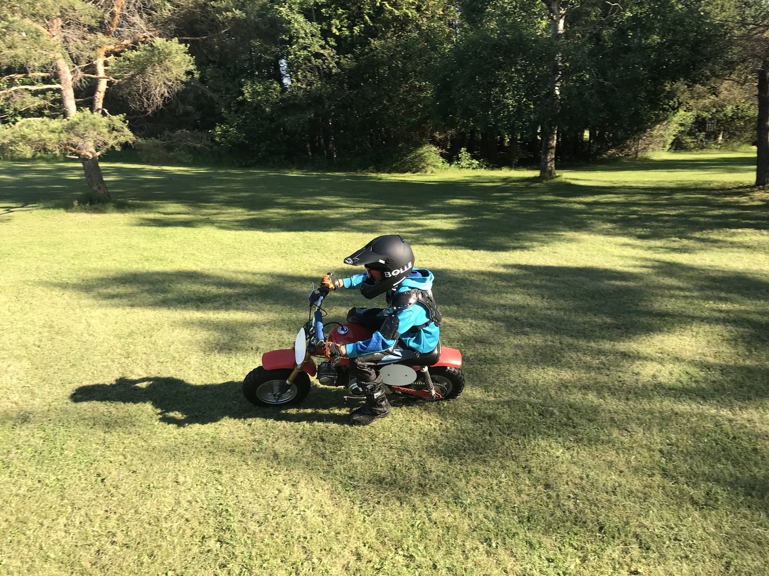 Photo 2808360