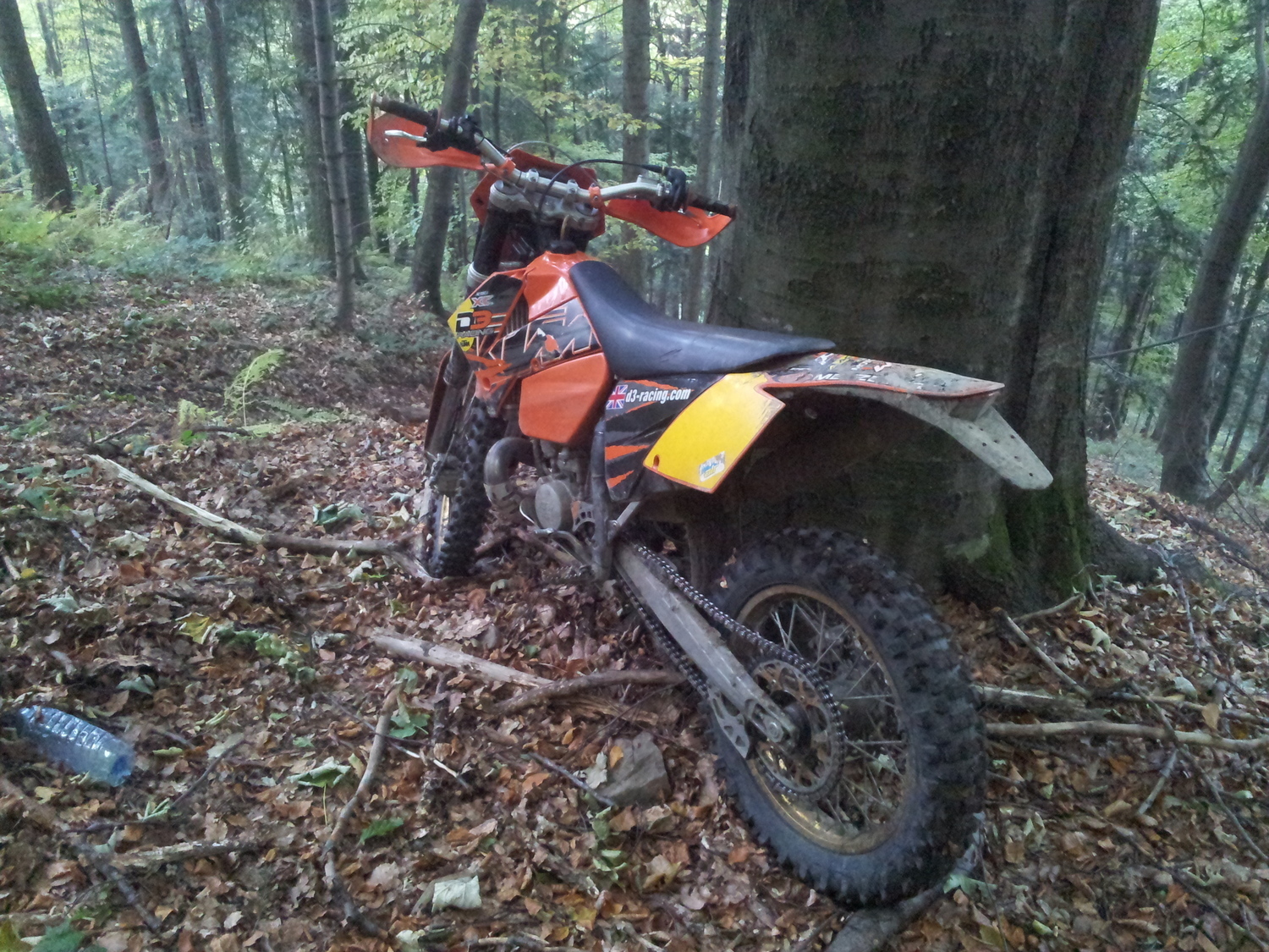 Photo 2808594